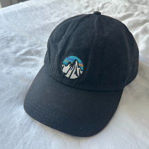 Patagonia vintage logo hat